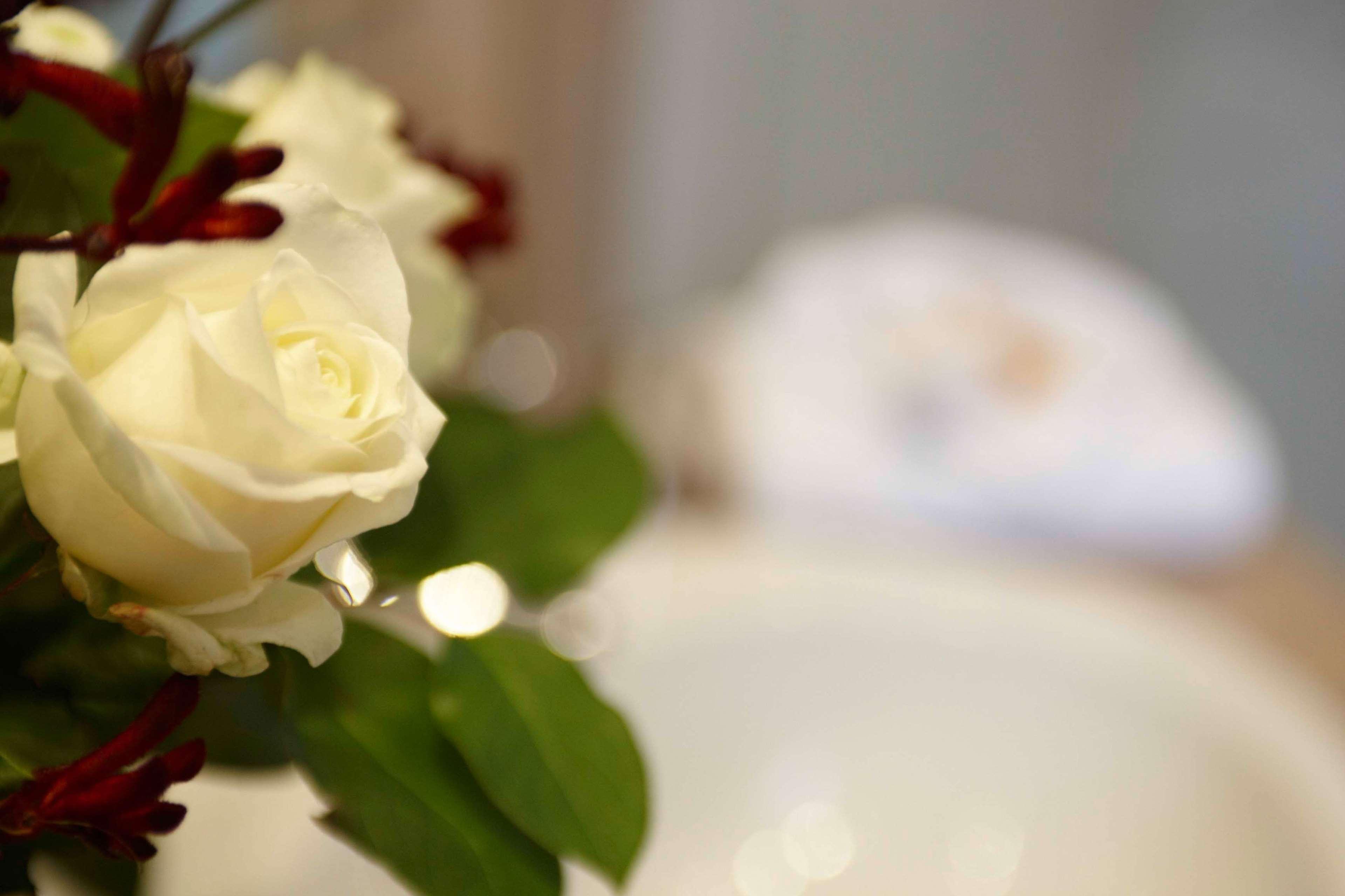 By Golden Tulip 4*